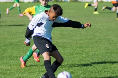 Rockmount - U12 Boys - 7 September 2014