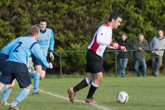 Seniors vs Avondale - 23rd Nov 2013 - MSL Premier