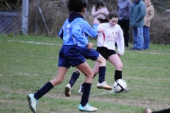 U12 Girls vs Hollyhill - 24th January 2015