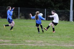 u12_girls_vs_hollyhill_7_20150128_1160293016