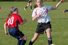 U13 Girls vs Springfield - 14th May 2019